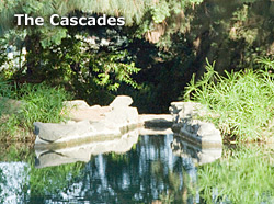 The Cascades