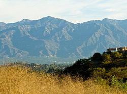 North View
