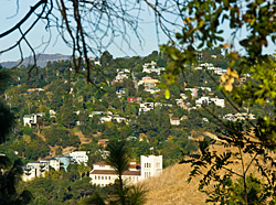 West View