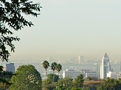 South View