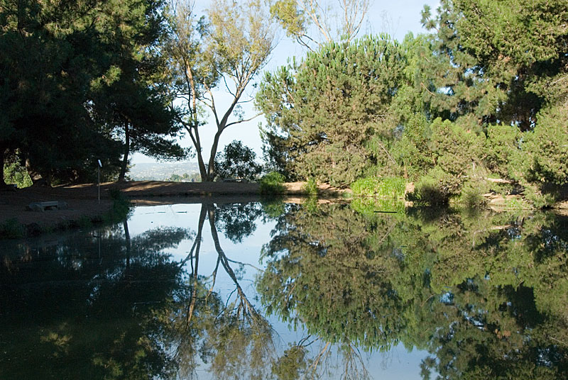 The Pond